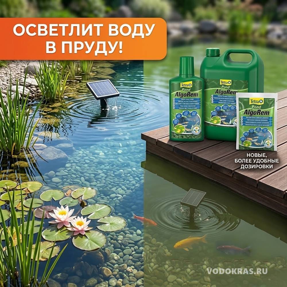 Tetra Pond ALGOREM