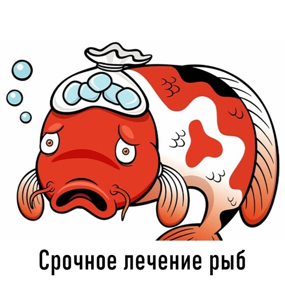 Срочное лечение прудовых рыб на 100 м³ - ОМНИПОНД 5 л + ЦИПРОПОНД 5 л