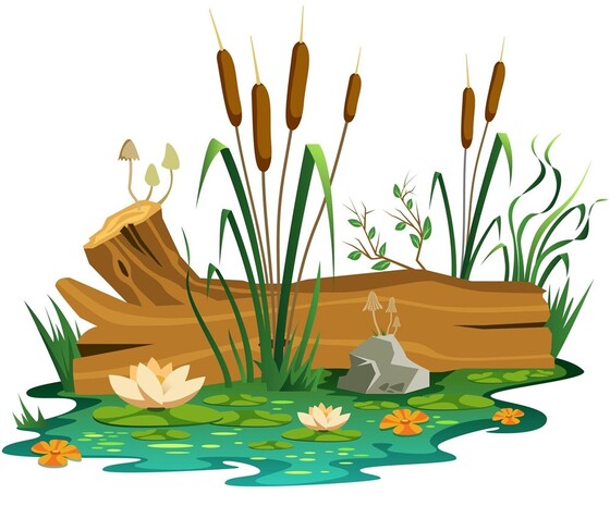♻️Комплект биопрепаратов: БИОСТАРТ Pond - 1 л, BIOBAC - 500 гр, Прозрачный пруд - 1 л