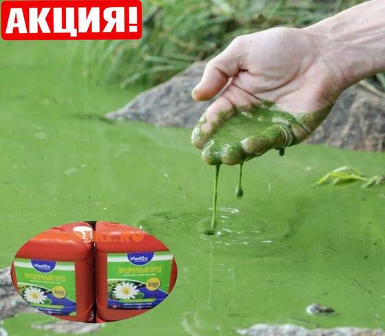 ⚡VladOx Прозрачный пруд для очистки водоёма на 200 м³ - 2x5 л