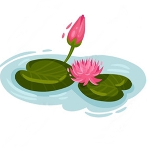 Кувшинки с цветами с доставкой в мой город