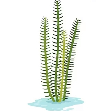 Оксигенаторы для очистки воды в пруду