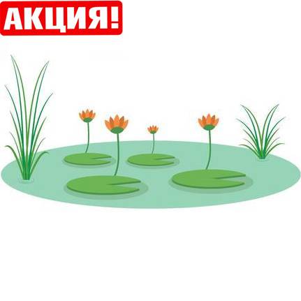 Aqua Balls 5 шт. + Железо и Марганец 1 л - Набор подкормок